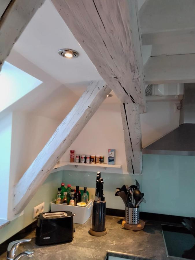 Dachgeschosswohnung-15min Vom Europa Park Entfernt Apartment Kenzingen